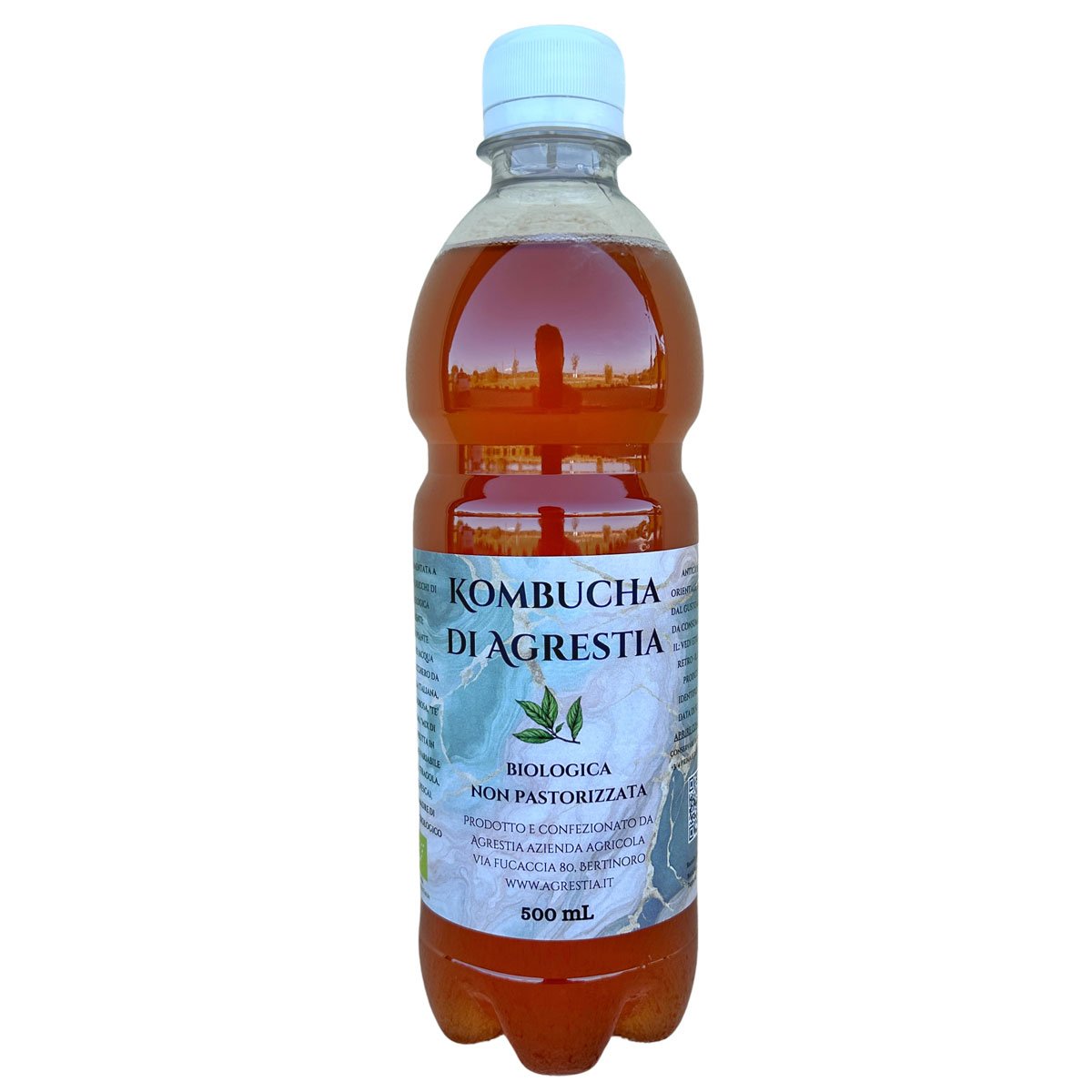 KOMBUCHA BIOLOGICO 