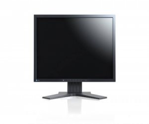 MONITOR EIZO 19 SERIE FLEXSCAN PVA LED GRIGIO