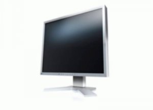 MONITOR EIZO 19 SERIE FLEXSCAN IPS LED GRIGIO